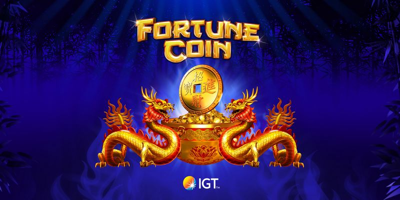 Introduktion til NV Casino